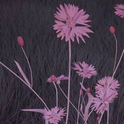 bob·体育综合app手机app下载