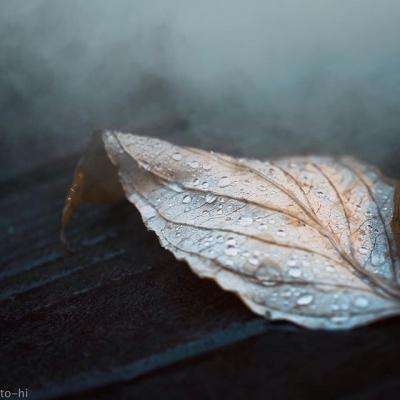 云开官方网站入口截图