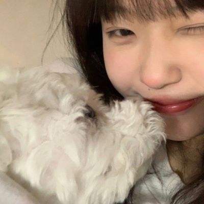 博业体育官网boye